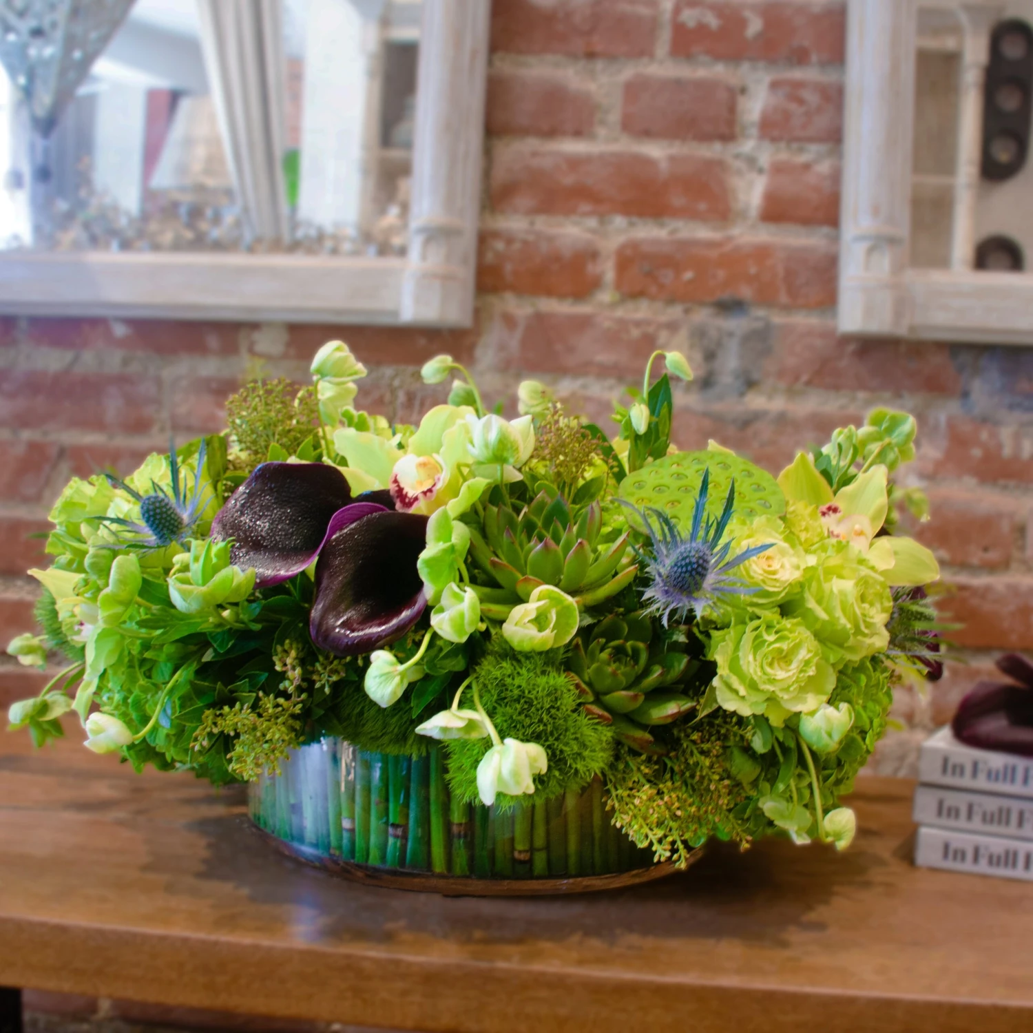 Evergreen Enchantment 5 Evergreen Enchantment - Image 3