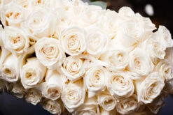 Ivory SnowFall -Flower Gift Shop DSC 1003