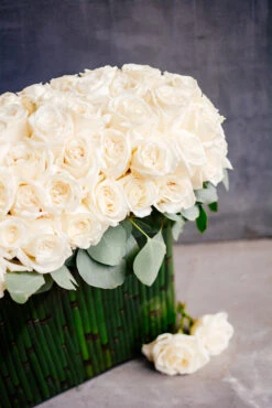 Ivory SnowFall -Flower Gift Shop DSC 1008