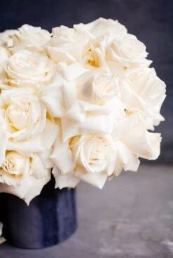 Cloud Nine -Flower Gift Shop DSC 1035 2