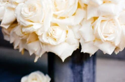 Cloud Nine -Flower Gift Shop DSC 1039 2