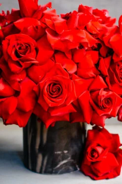 Queen Of Hearts 8 Queen Of Hearts -Flower Gift Shop DSC 1065 2