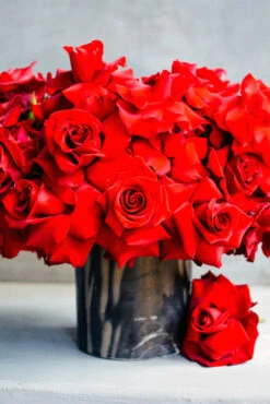 Queen Of Hearts 9 Queen Of Hearts -Flower Gift Shop DSC 1066 2