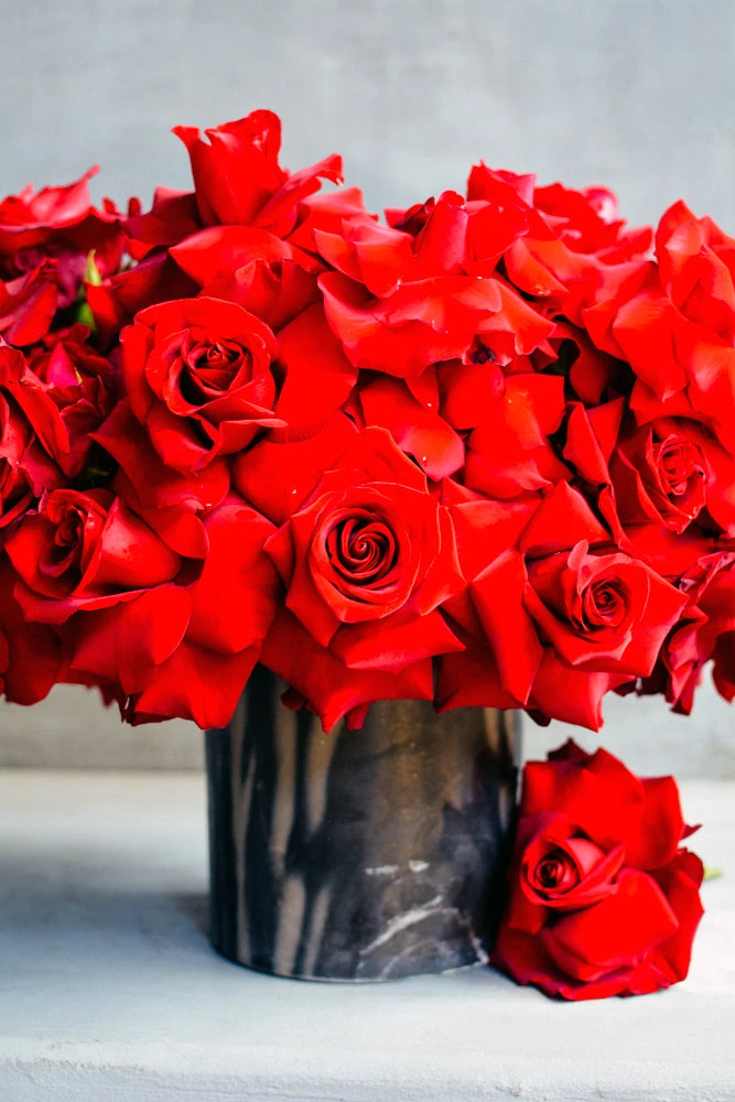 Queen Of Hearts 6 Queen Of Hearts - Image 4