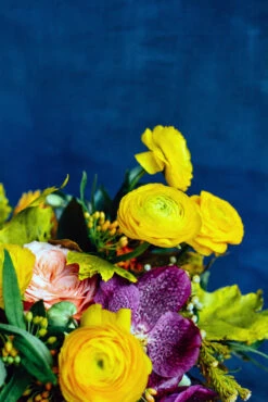 Toil And Trouble -Flower Gift Shop DSC 1072 2