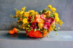 Toil And Trouble -Flower Gift Shop DSC 1075 2