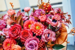 Magical Fantasy 8 Magical Fantasy -Flower Gift Shop DSC 1098 2