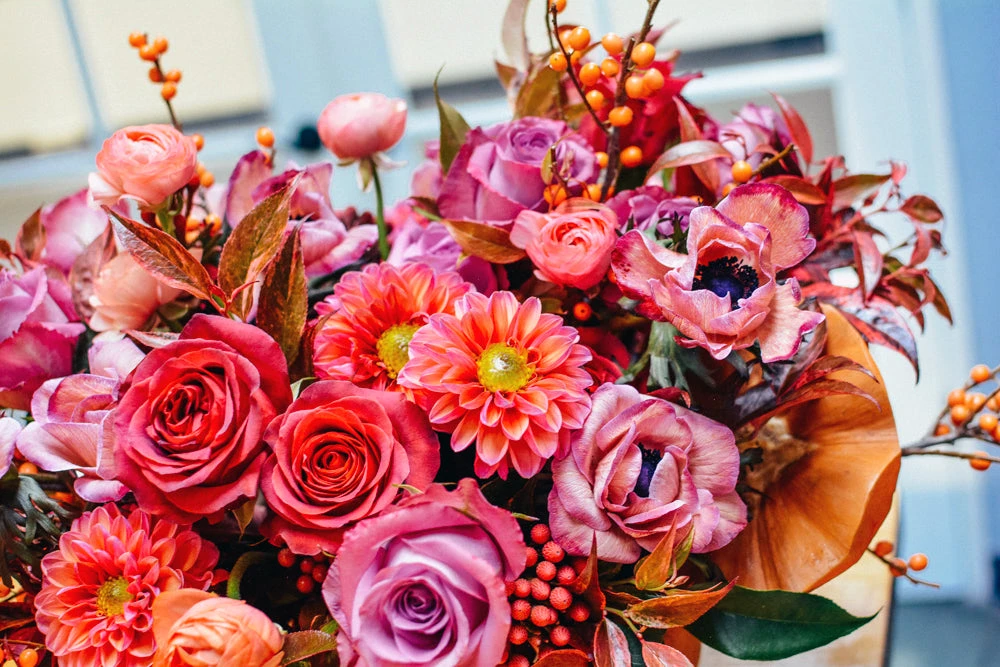 Magical Fantasy 5 Magical Fantasy - Image 3