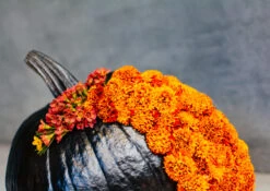 The Crescent Moon -Flower Gift Shop DSC 3236