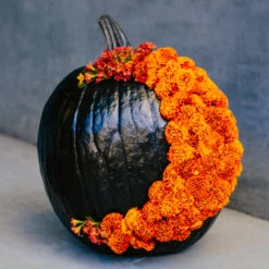 The Crescent Moon -Flower Gift Shop DSC 3244