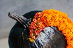 The Crescent Moon -Flower Gift Shop DSC 3246