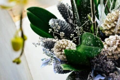 Winter Wonderland Orchids -Flower Gift Shop DSC 5202