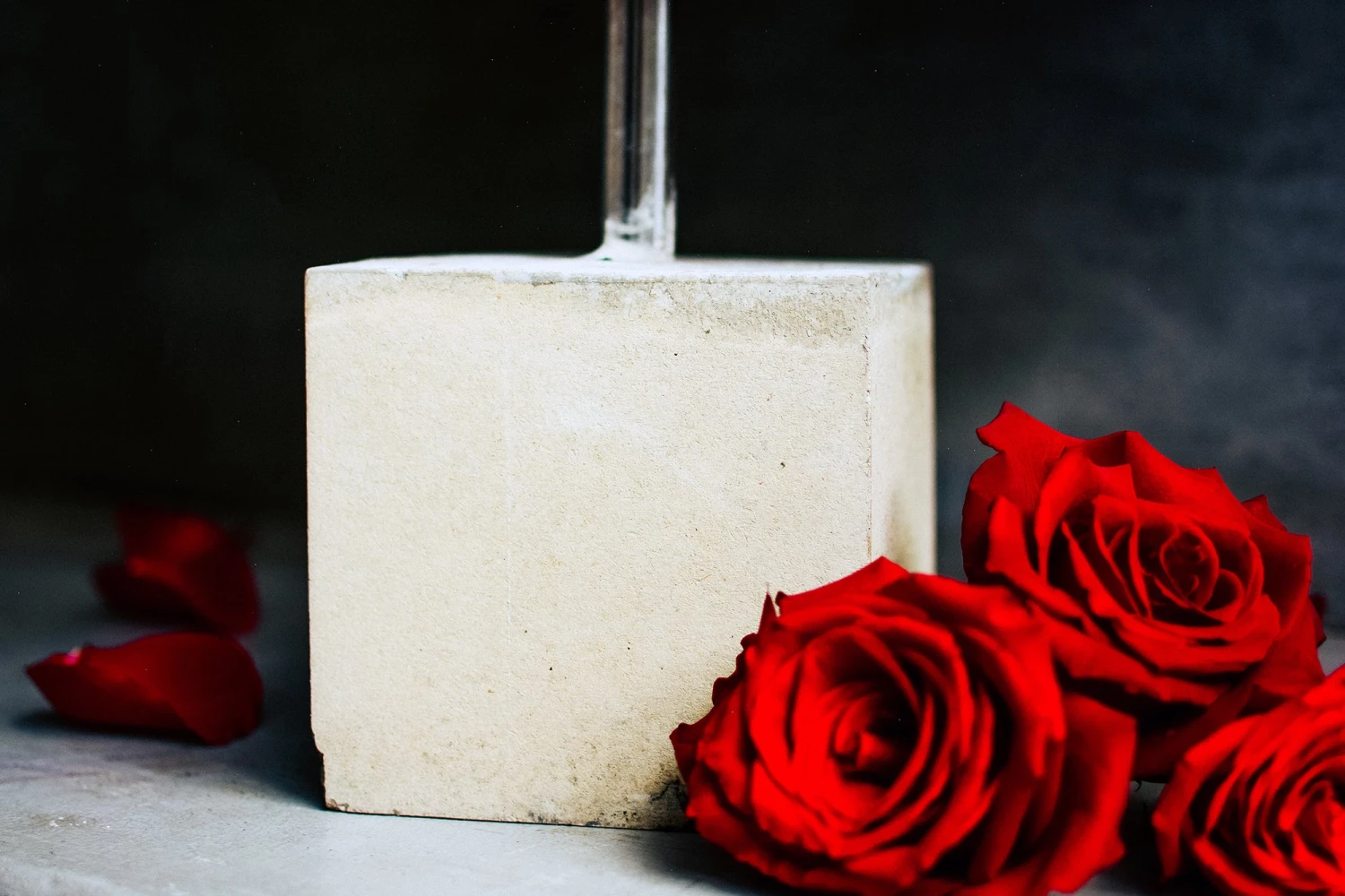 My Passionate Love 5 My Passionate Love - Image 3