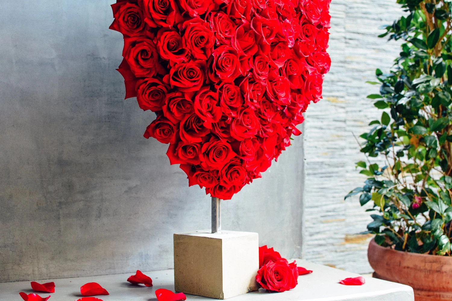 My Passionate Love 6 My Passionate Love - Image 4