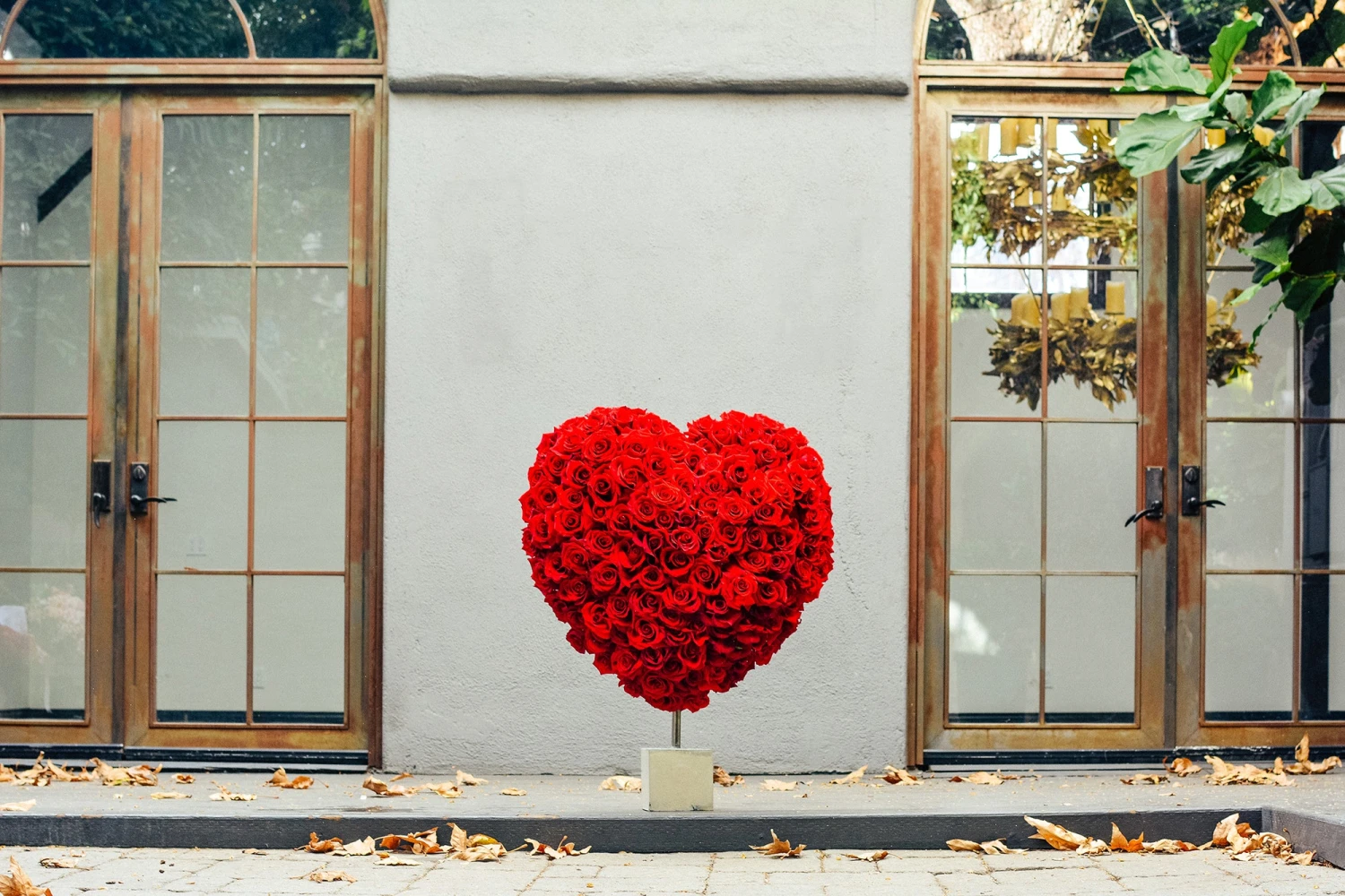 My Passionate Love 7 My Passionate Love - Image 5