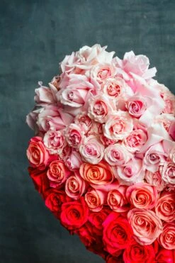 My Luminous Heart -Flower Gift Shop DSC 5913