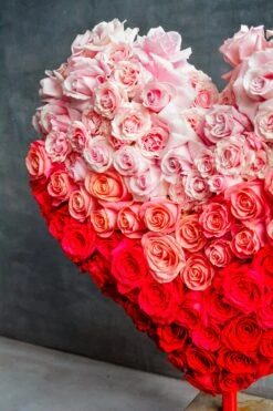 My Luminous Heart -Flower Gift Shop DSC 5915