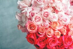 My Luminous Heart -Flower Gift Shop DSC 5918