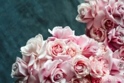 My Luminous Heart -Flower Gift Shop DSC 5919