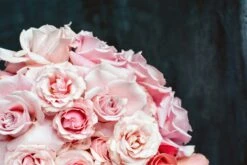 My Luminous Heart -Flower Gift Shop DSC 5925