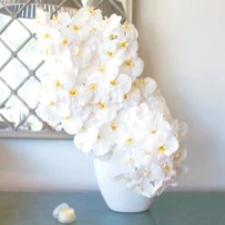 A Waterfall Of Orchids