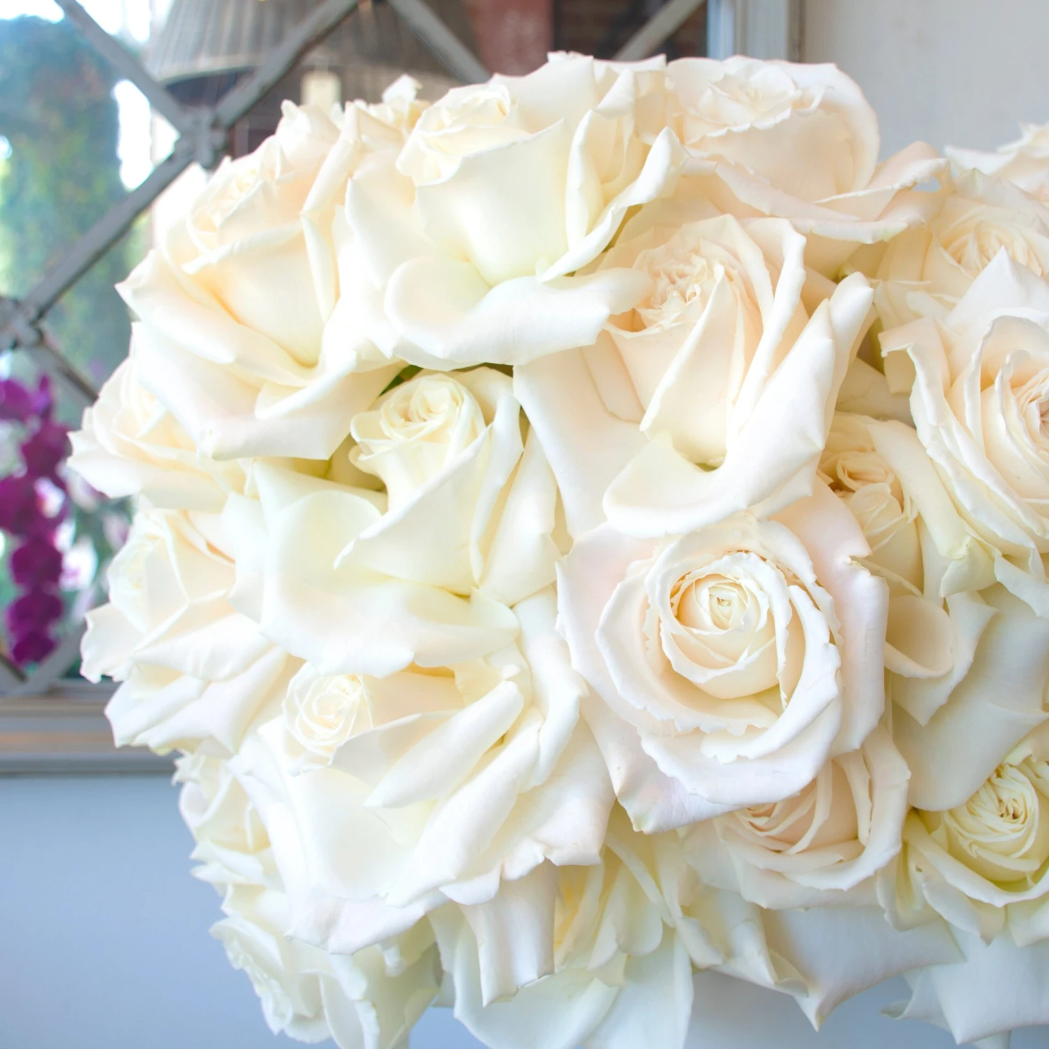 Luminous Love 4 Luminous Love - Image 2