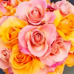 Peachy Sky 7 Peachy Sky -Flower Gift Shop DSC 6894copy1