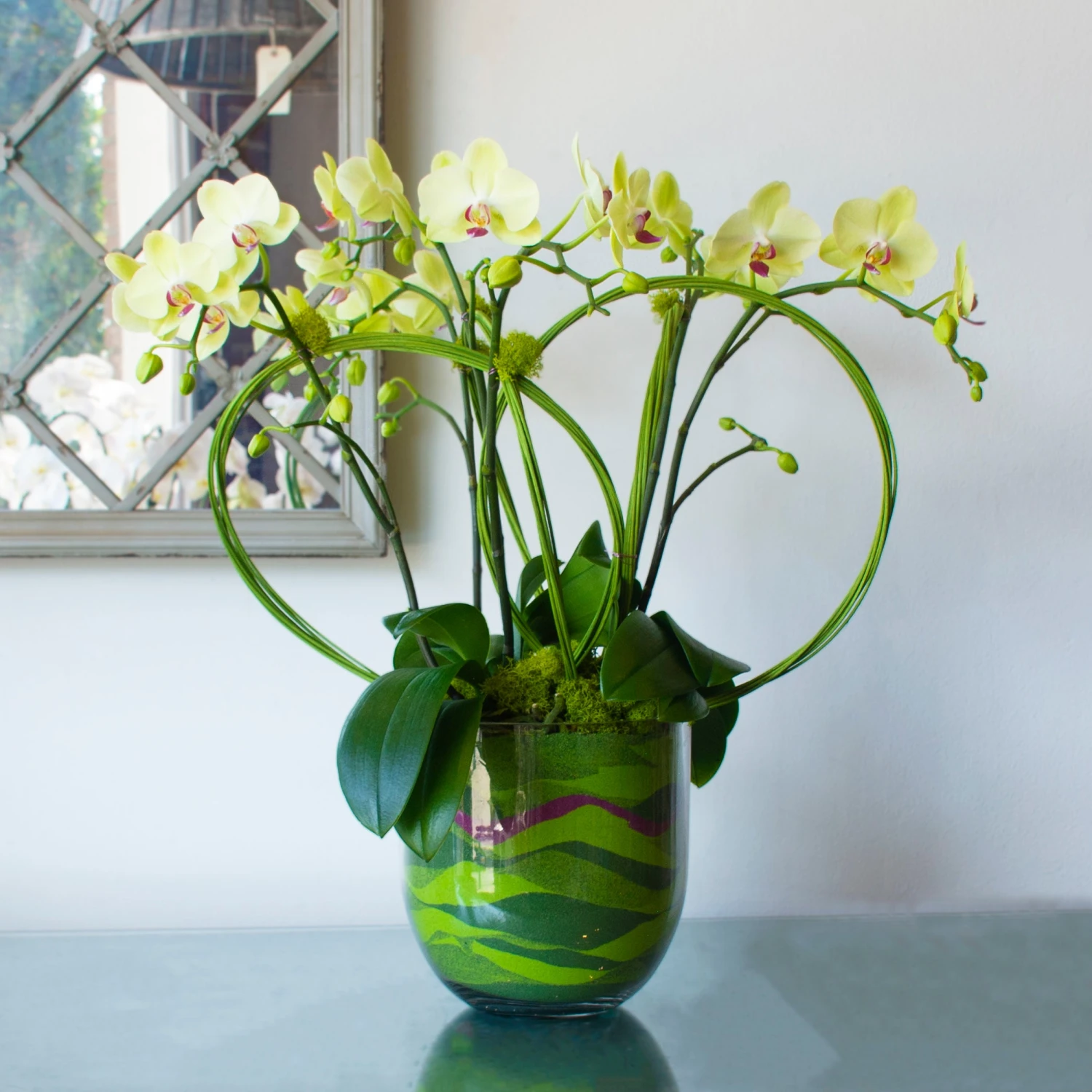 Twisted Fate 3 Twisted Fate