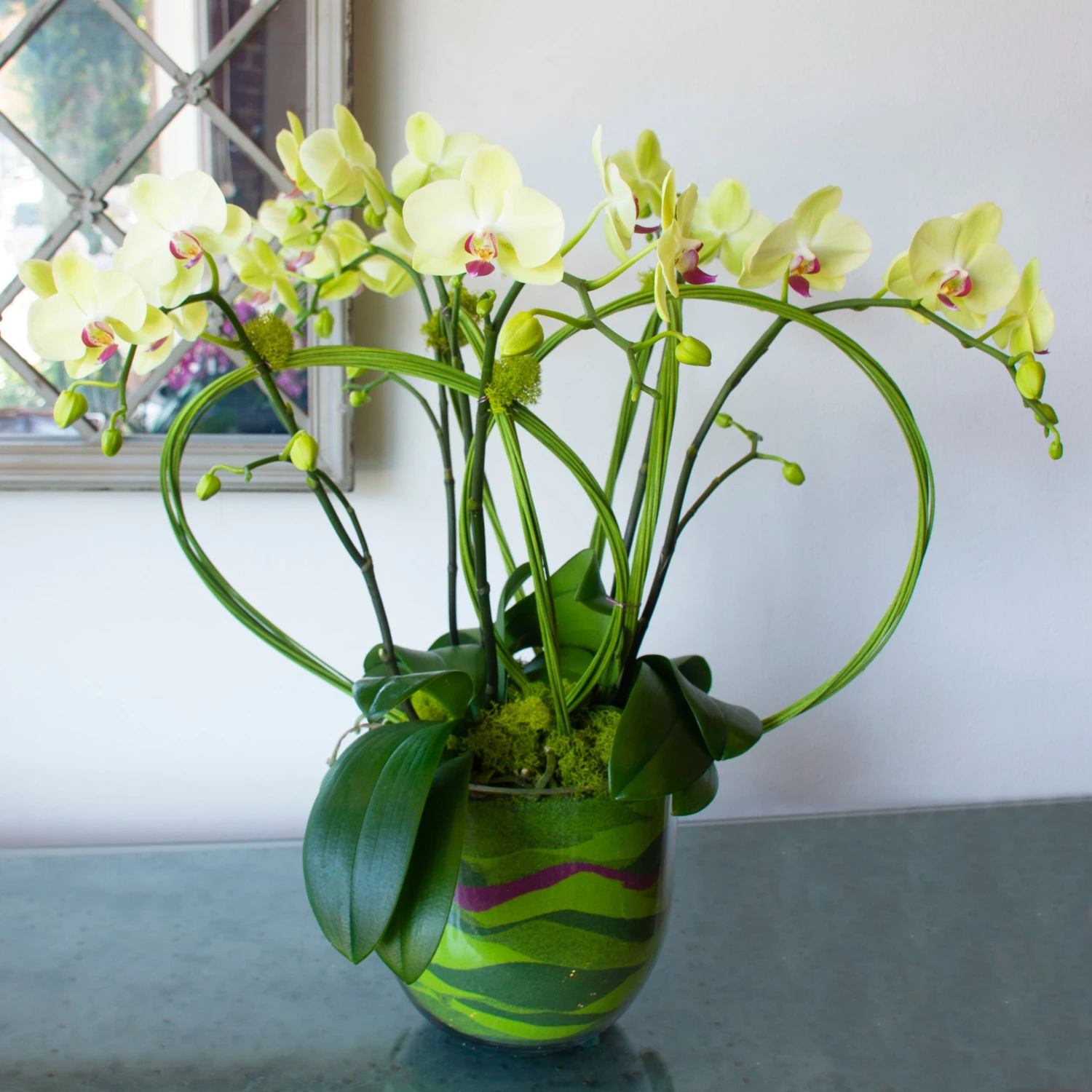 Twisted Fate 4 Twisted Fate - Image 2