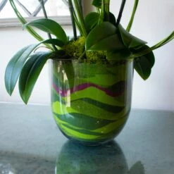 Twisted Fate 9 Twisted Fate -Flower Gift Shop DSC 7255copy