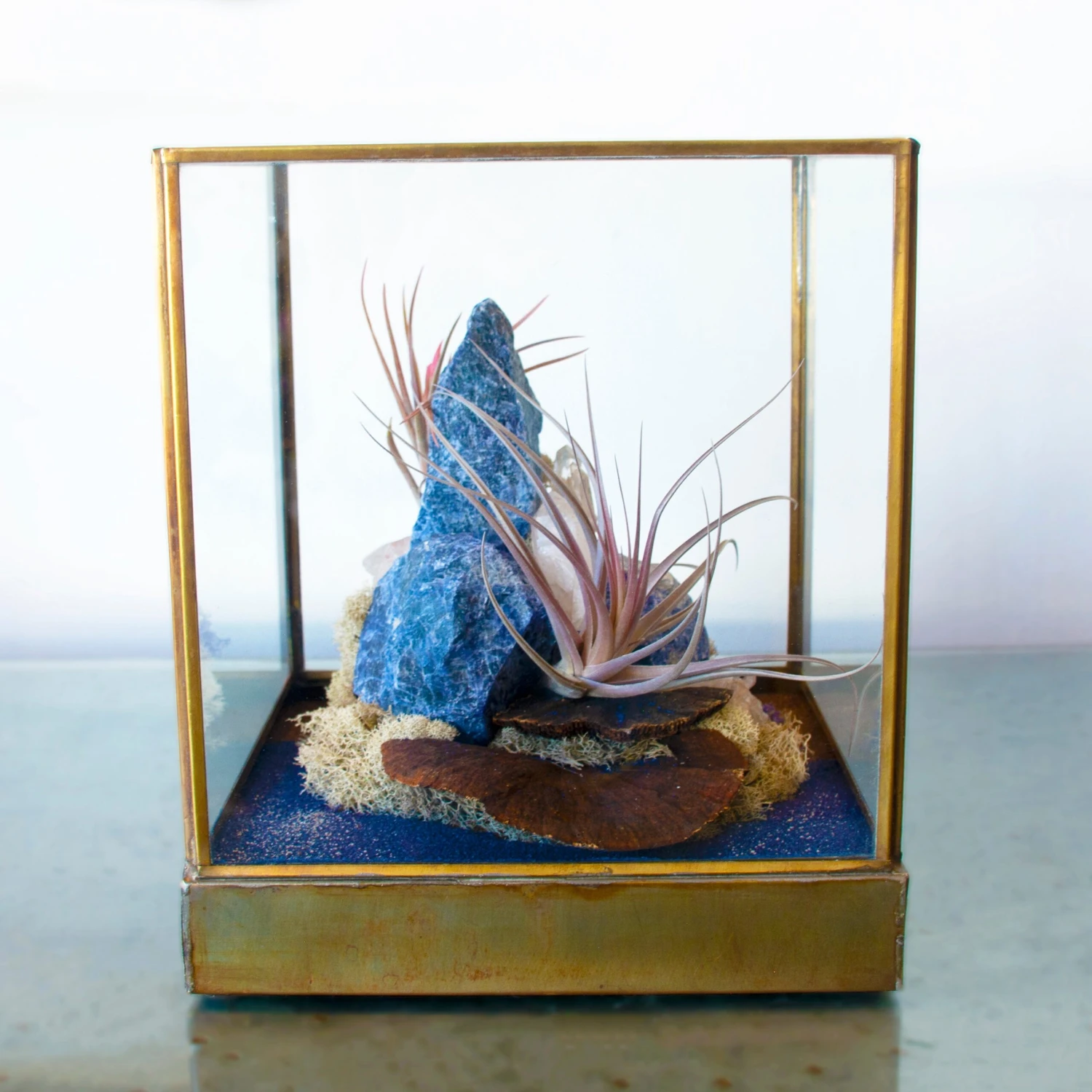 Azul Mirage - One Of A Kind Terrarium 3 Azul Mirage - One Of A Kind Terrarium