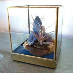 Azul Mirage - One Of A Kind Terrarium 12 Azul Mirage - One Of A Kind Terrarium -Flower Gift Shop DSC 7315copy