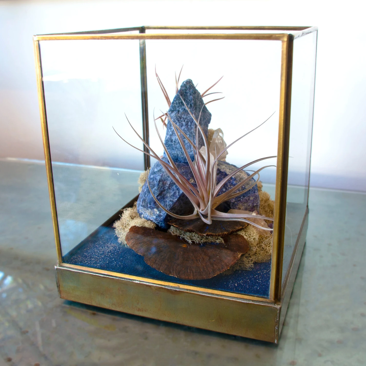 Azul Mirage - One Of A Kind Terrarium 7 Azul Mirage - One Of A Kind Terrarium - Image 5