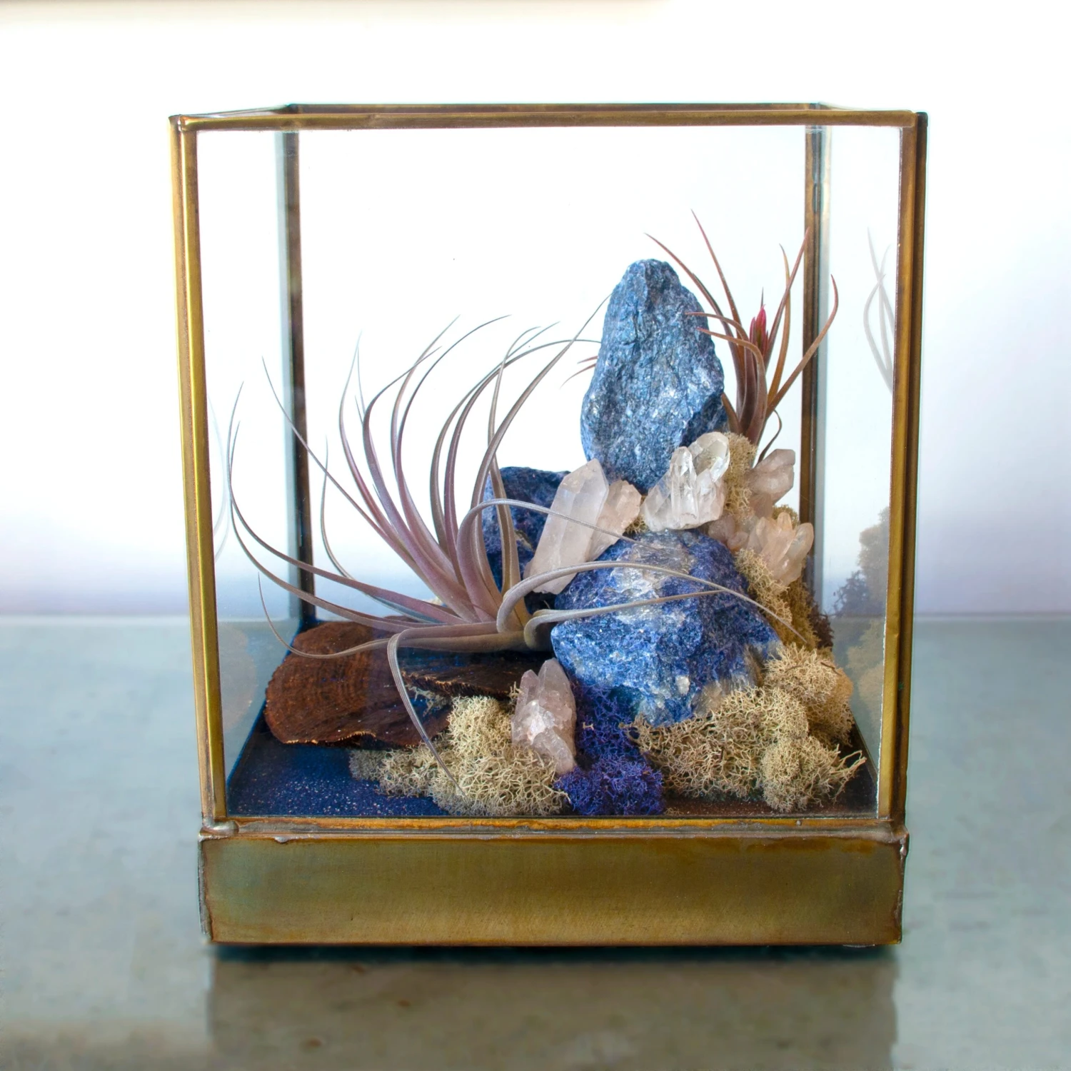 Azul Mirage - One Of A Kind Terrarium 4 Azul Mirage - One Of A Kind Terrarium - Image 2