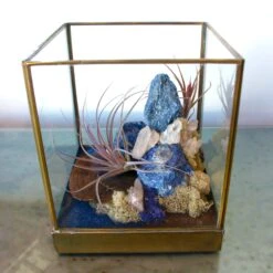 Azul Mirage - One Of A Kind Terrarium 13 Azul Mirage - One Of A Kind Terrarium -Flower Gift Shop DSC 7317copy