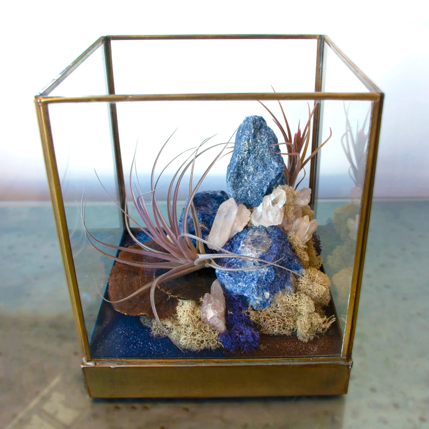 Azul Mirage - One Of A Kind Terrarium 8 Azul Mirage - One Of A Kind Terrarium - Image 6