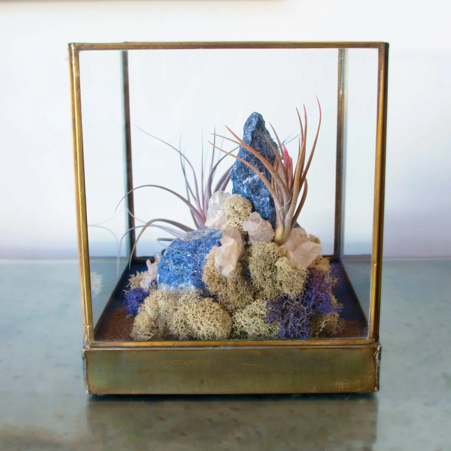 Azul Mirage - One Of A Kind Terrarium 5 Azul Mirage - One Of A Kind Terrarium - Image 3