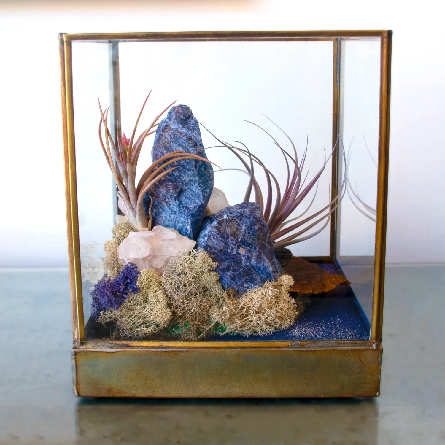Azul Mirage - One Of A Kind Terrarium 6 Azul Mirage - One Of A Kind Terrarium - Image 4