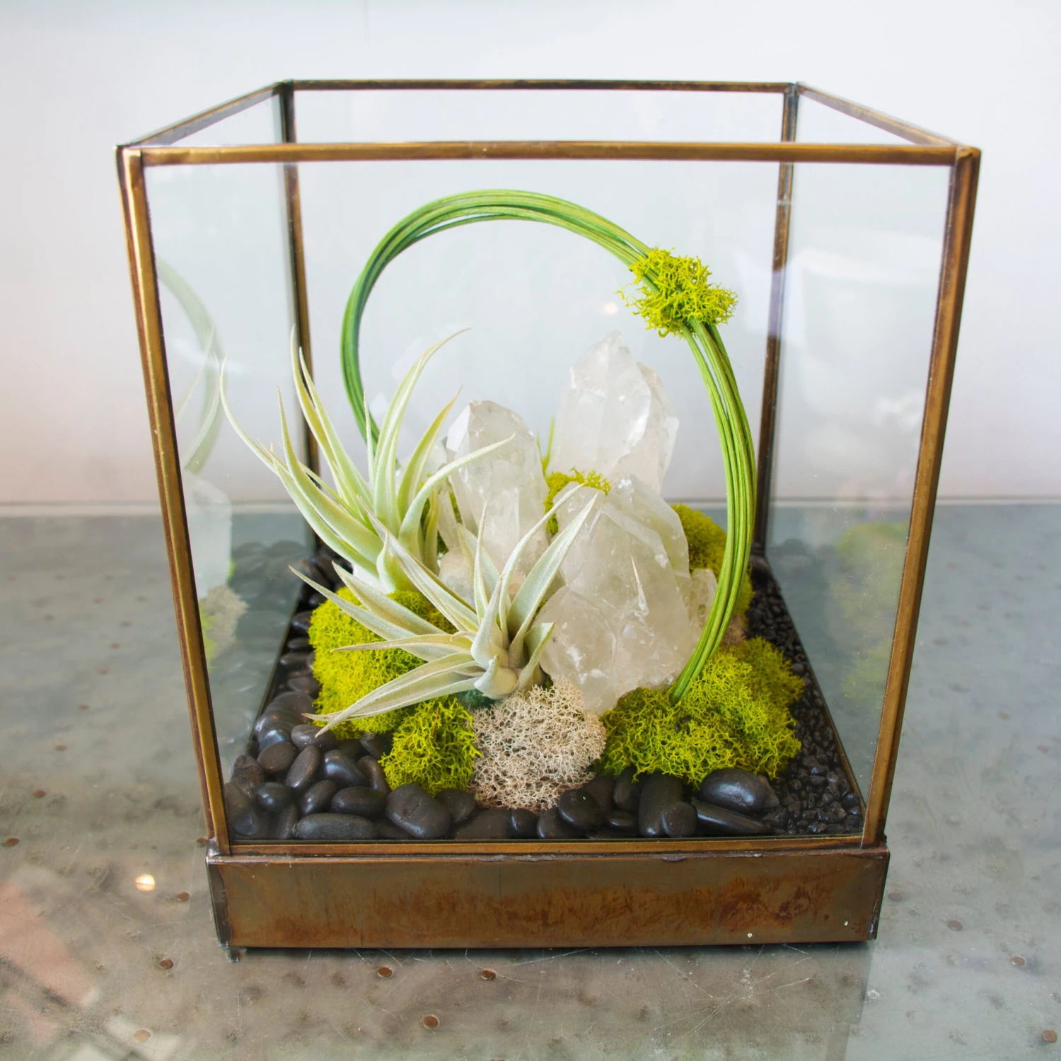 Green Serene - One Of A Kind Terrarium 4 Green Serene - One Of A Kind Terrarium - Image 2