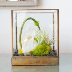 Green Serene - One Of A Kind Terrarium 10 Green Serene - One Of A Kind Terrarium -Flower Gift Shop DSC 7336copy