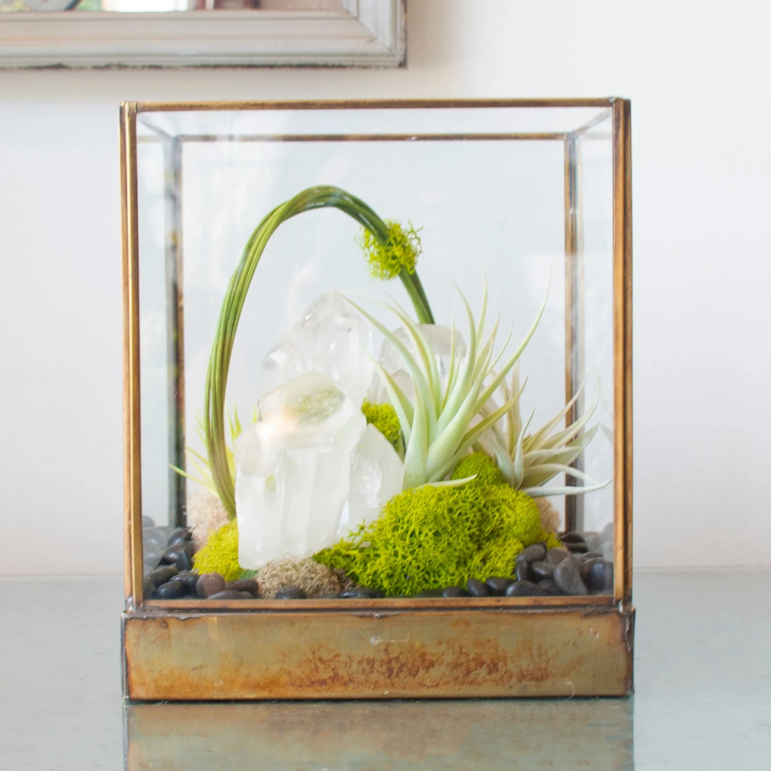 Green Serene - One Of A Kind Terrarium 5 Green Serene - One Of A Kind Terrarium - Image 3