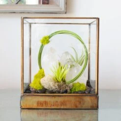 Green Serene - One Of A Kind Terrarium 11 Green Serene - One Of A Kind Terrarium -Flower Gift Shop DSC 7339copy