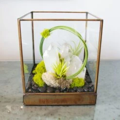 Green Serene - One Of A Kind Terrarium 12 Green Serene - One Of A Kind Terrarium -Flower Gift Shop DSC 7340copy