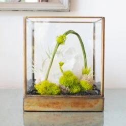 Green Serene - One Of A Kind Terrarium 13 Green Serene - One Of A Kind Terrarium -Flower Gift Shop DSC 7341copy
