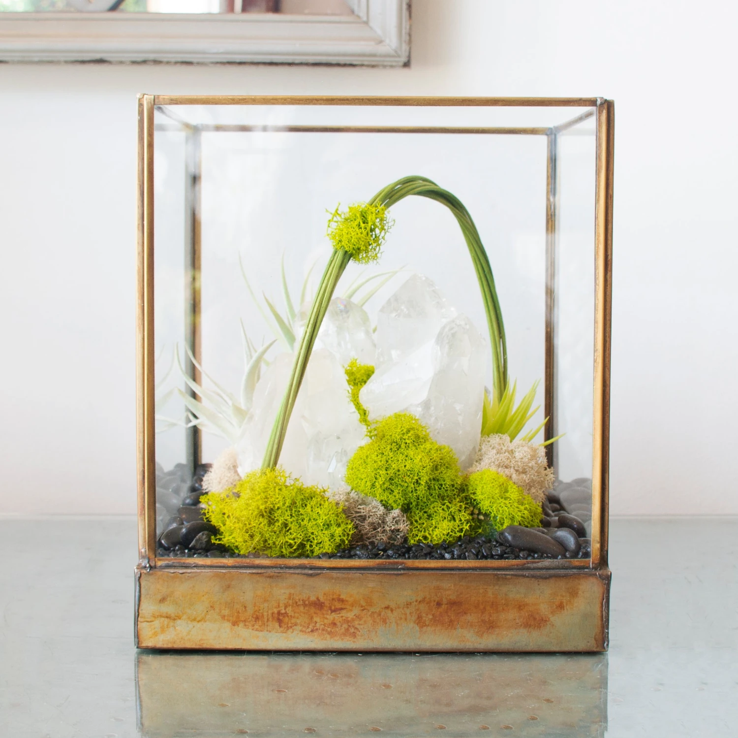 Green Serene - One Of A Kind Terrarium 8 Green Serene - One Of A Kind Terrarium - Image 6