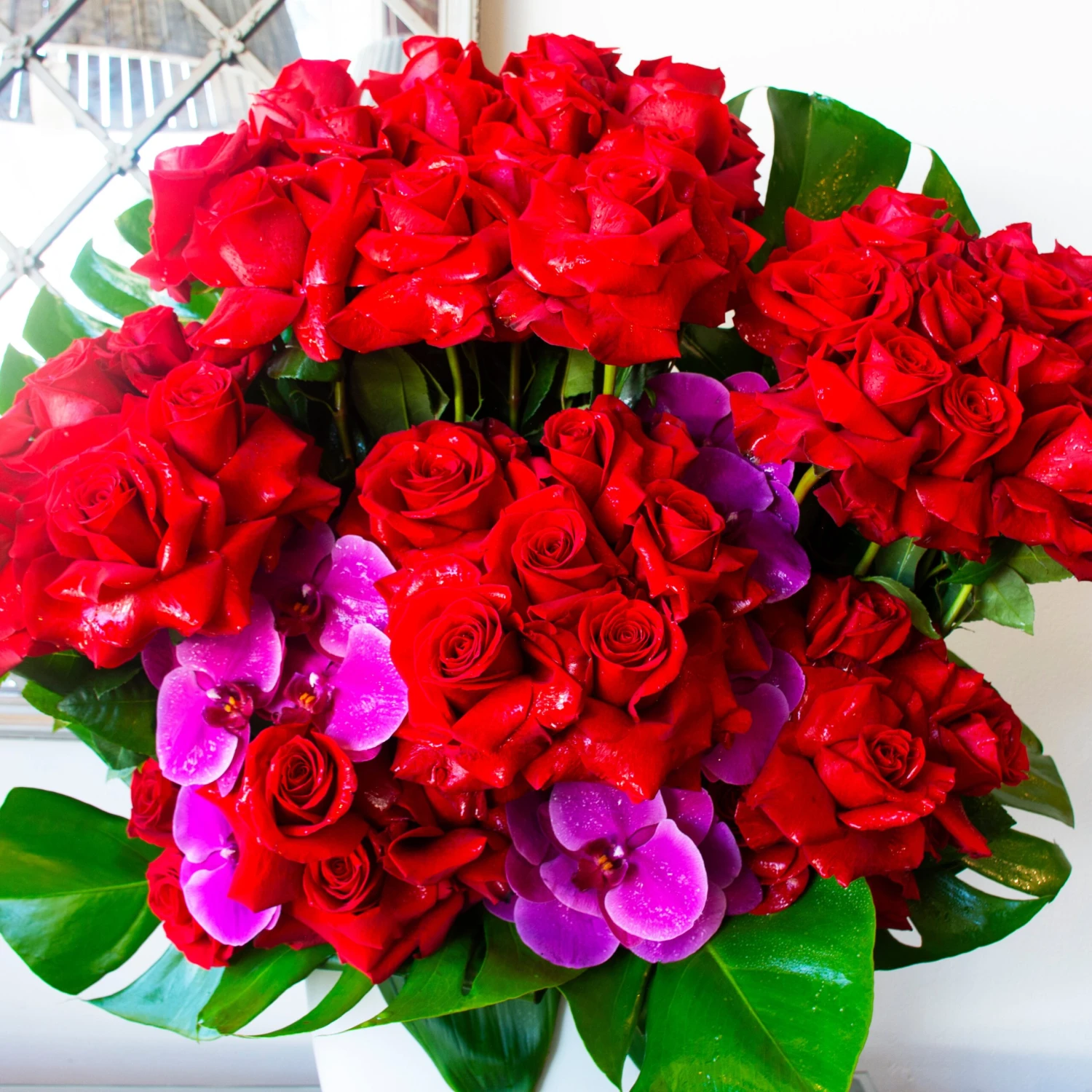 Roaring Love 4 Roaring Love - Image 2