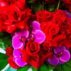 Roaring Love 7 Roaring Love -Flower Gift Shop DSC 7372copy