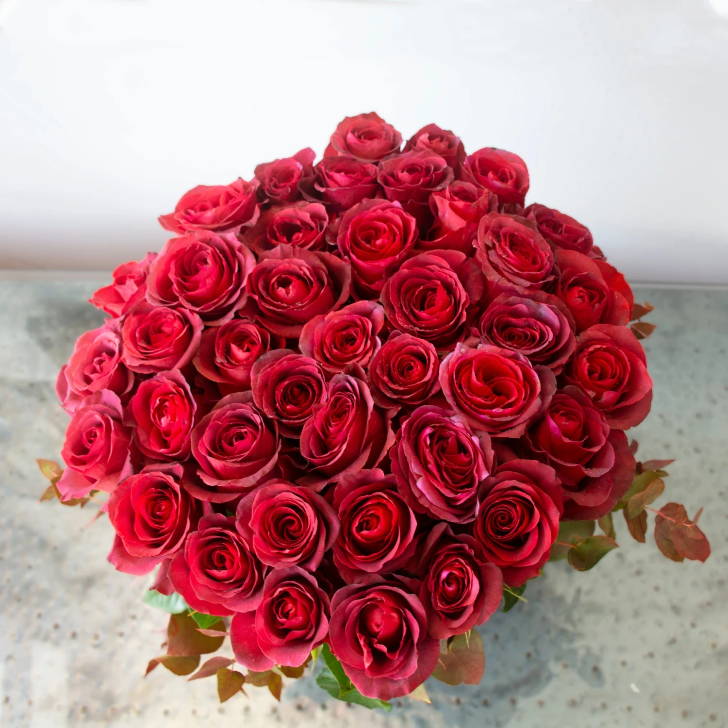 Matilda Medley 4 Matilda Medley - Image 2