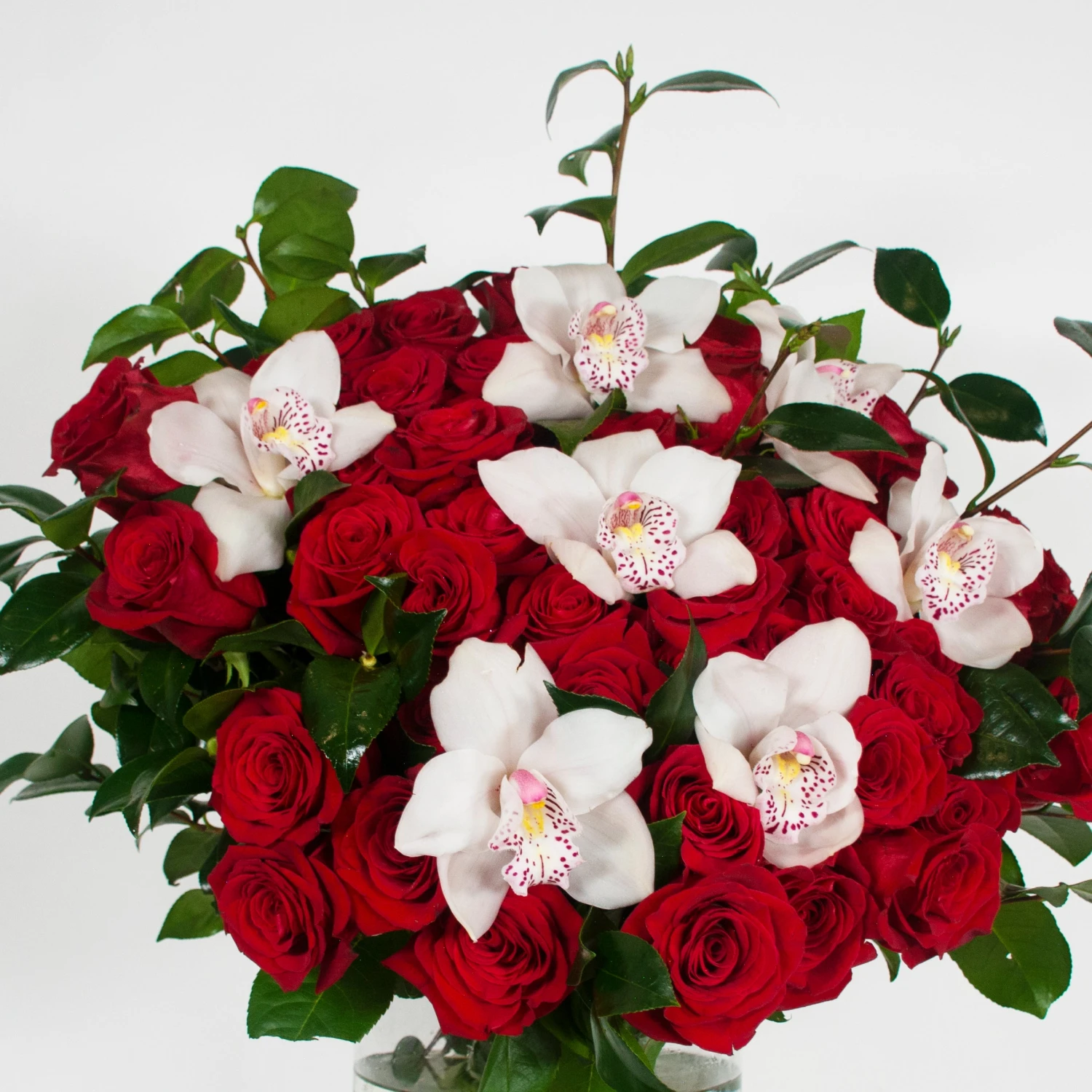 Love Is Red 5 Love Is Red - Image 3