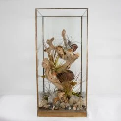 Botanical Oasis-One Of A Kind Terrarium